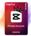 CapCut Pro Private Account 3 Months | Quick Delivery